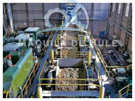 industria azucarera MAQUILA DE HULE